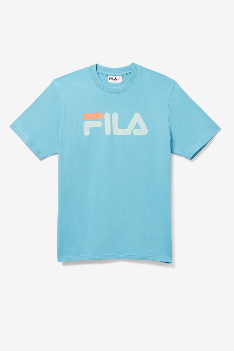 Fila Eagle Tee T Shirts Herre Blå | 076-QXZYPM