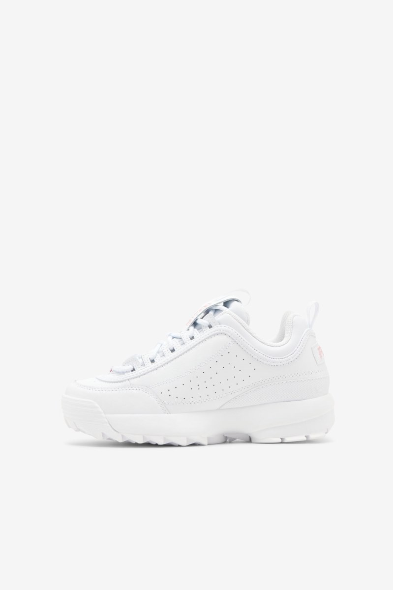 Fila disruptor 2 metallic flag Sneakers Børn Flerfarvede | 845-IQSZUK